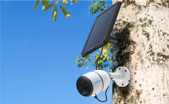 Megapixel Security Cameras